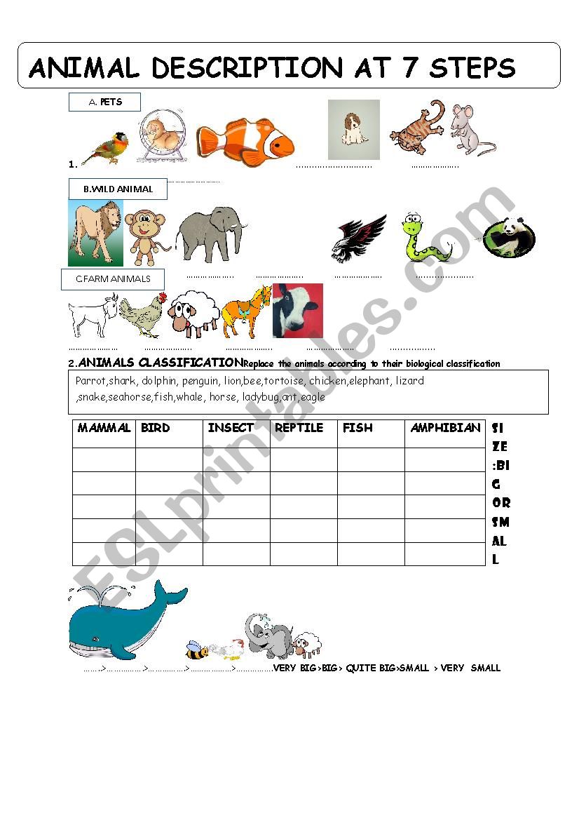 Animal description at 7 step worksheet