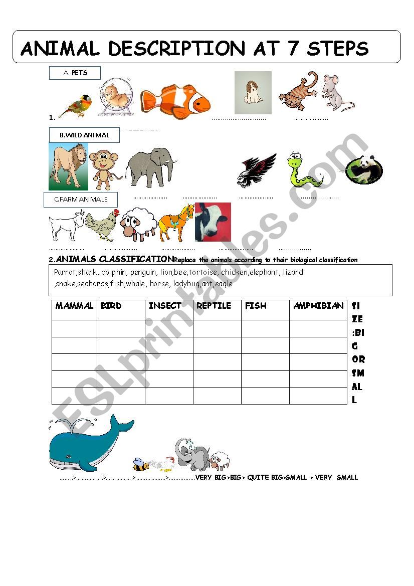Animal description at 7 step worksheet