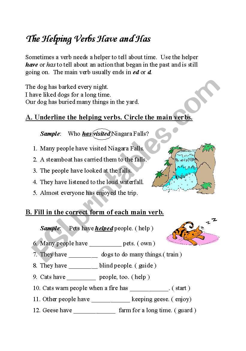 present perfect 2 worksheet