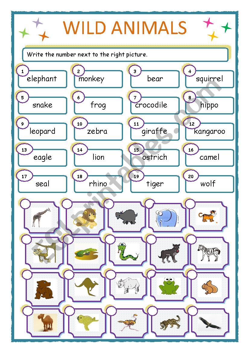 WILD ANIMALS worksheet