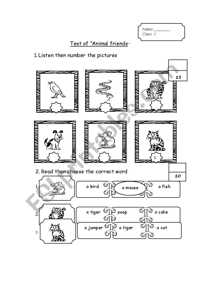 animals worksheet