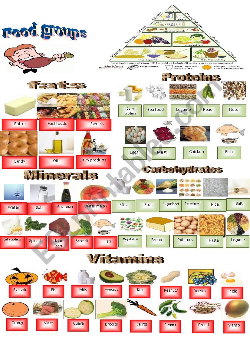 Food groups Dictionary  worksheet