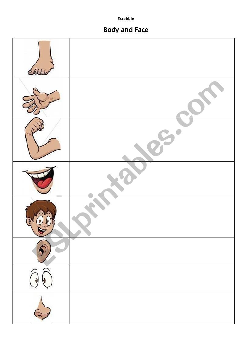 Body parts worksheet