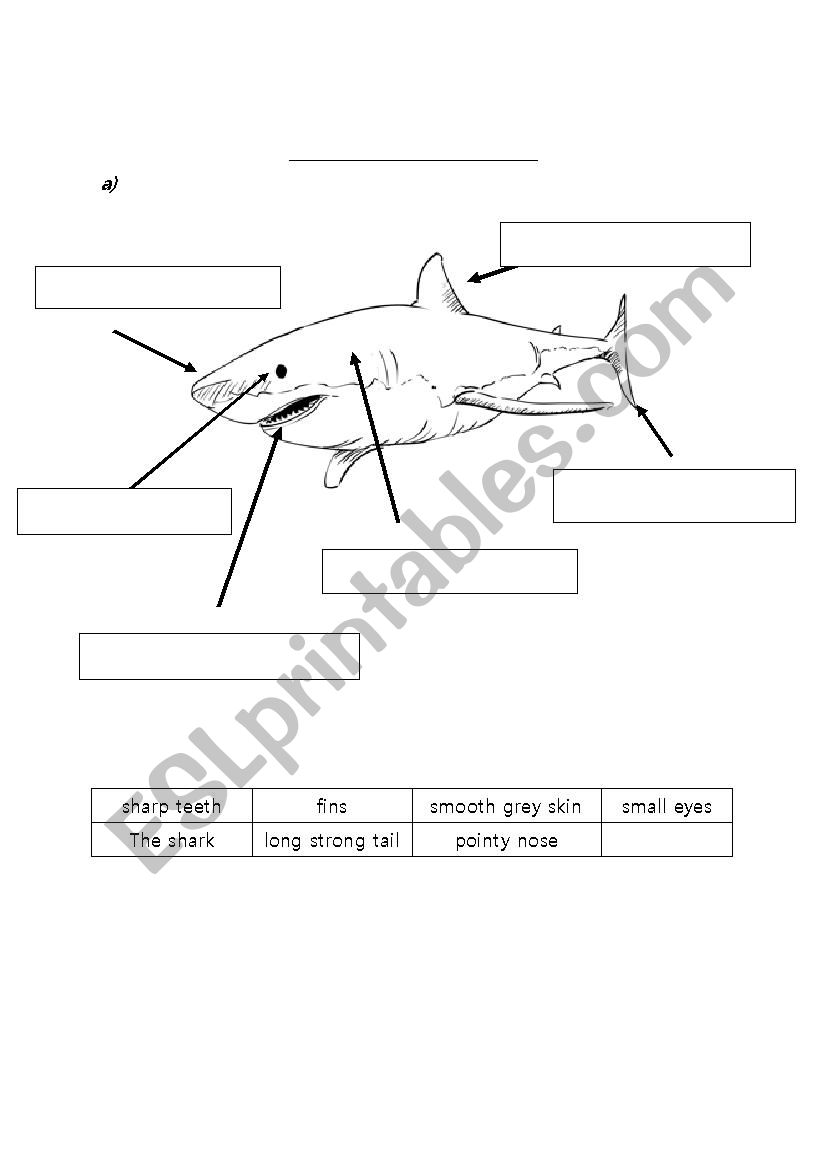 Description of a shark worksheet