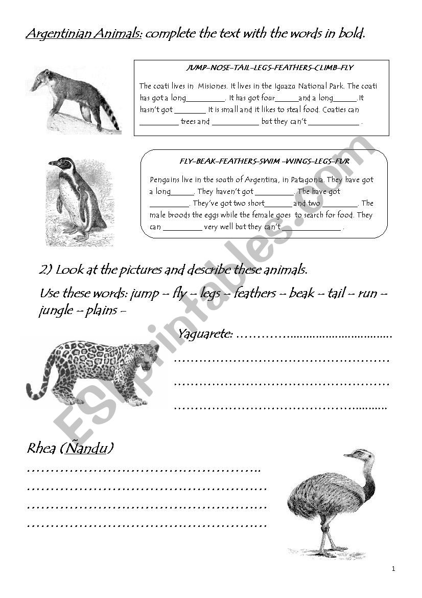 Argentinian Animals worksheet