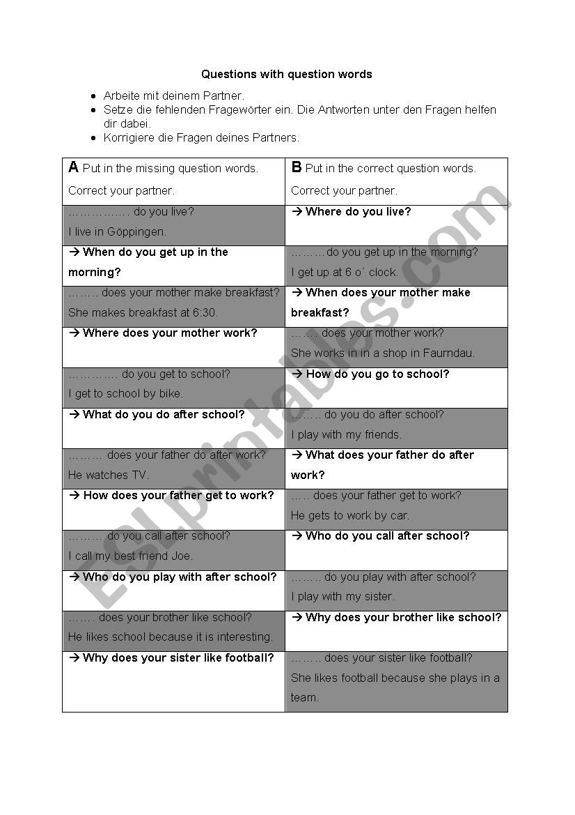 Tandem Question Words worksheet