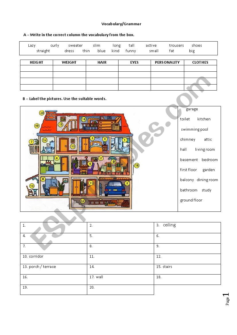 Vocabulary and grammar worksheet