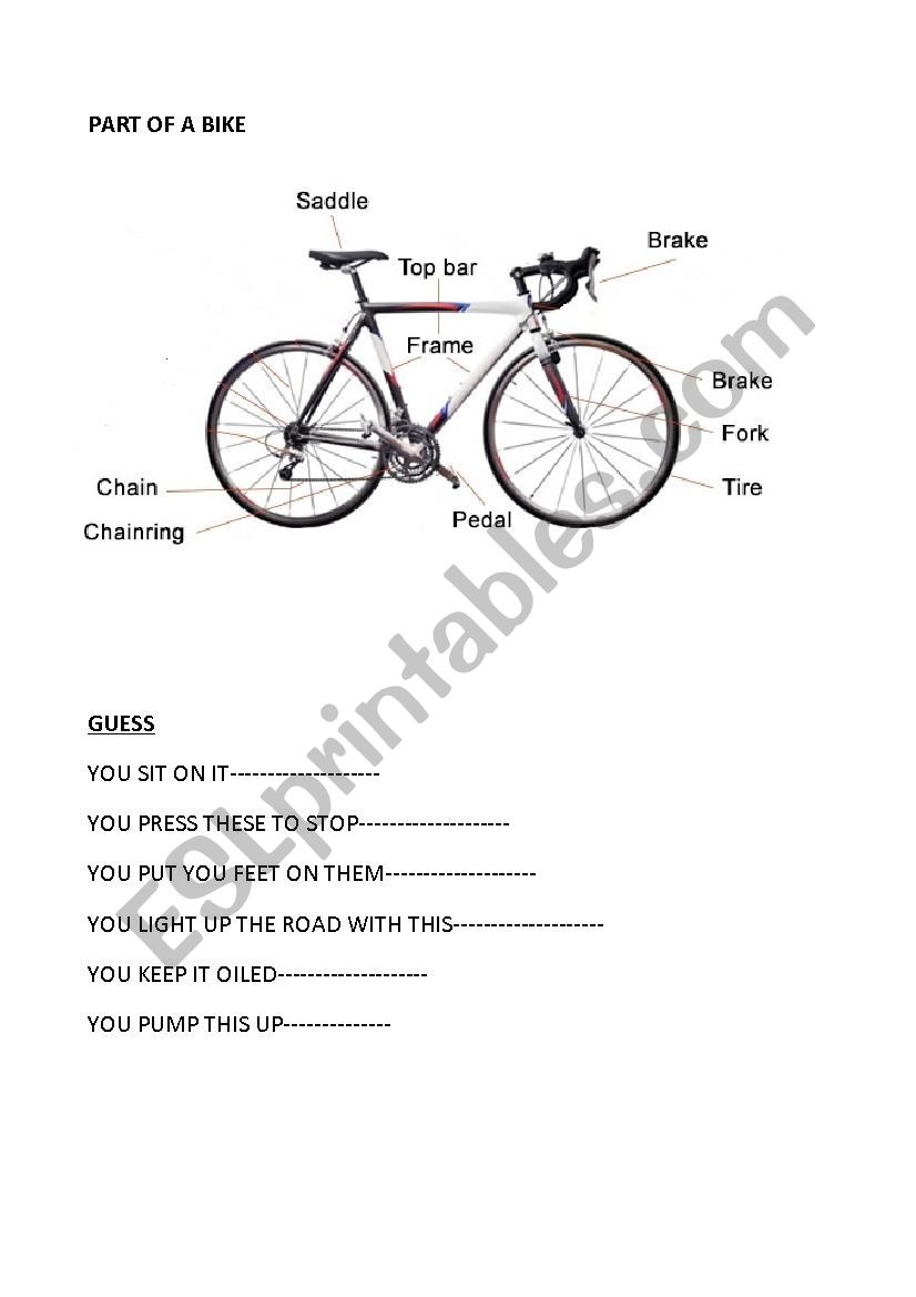 PART OF THE BIKE worksheet