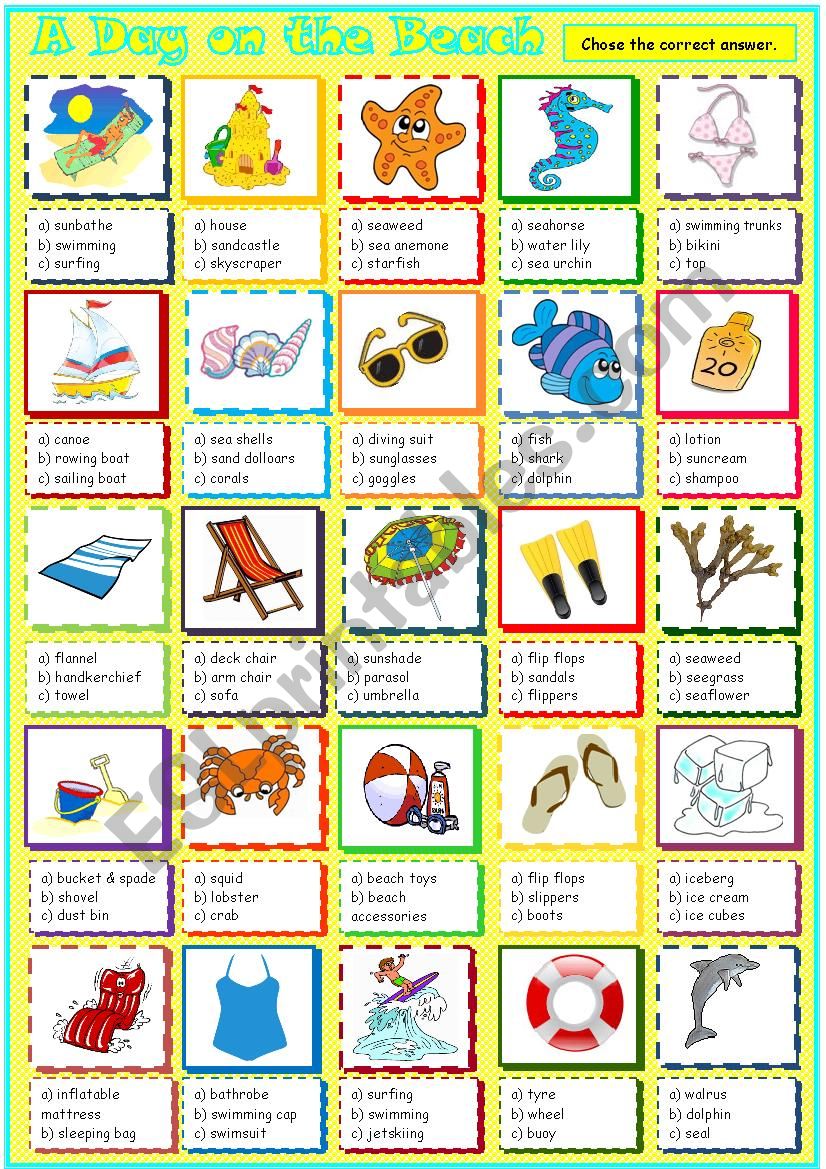 A Day on the Beach worksheet