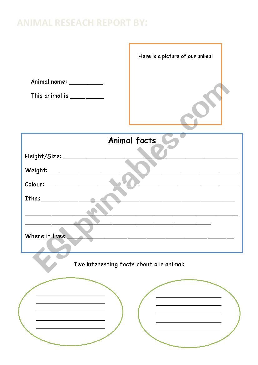 Animal research report worksheet