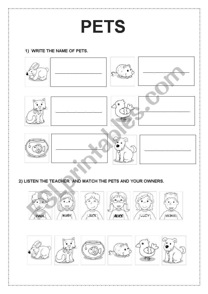 Pets worksheet