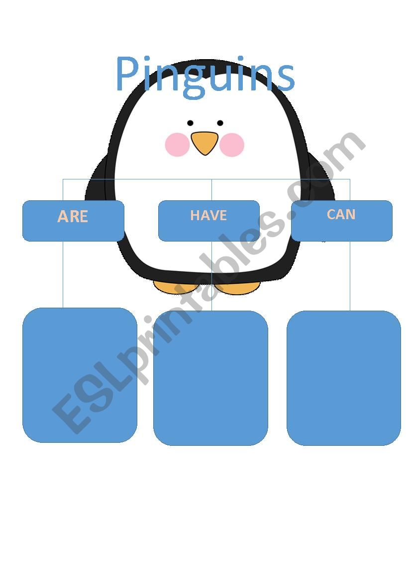 Pinguins  worksheet