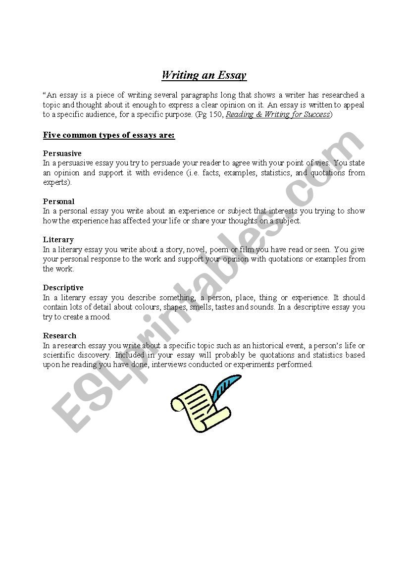 introduction to essay writing worksheet