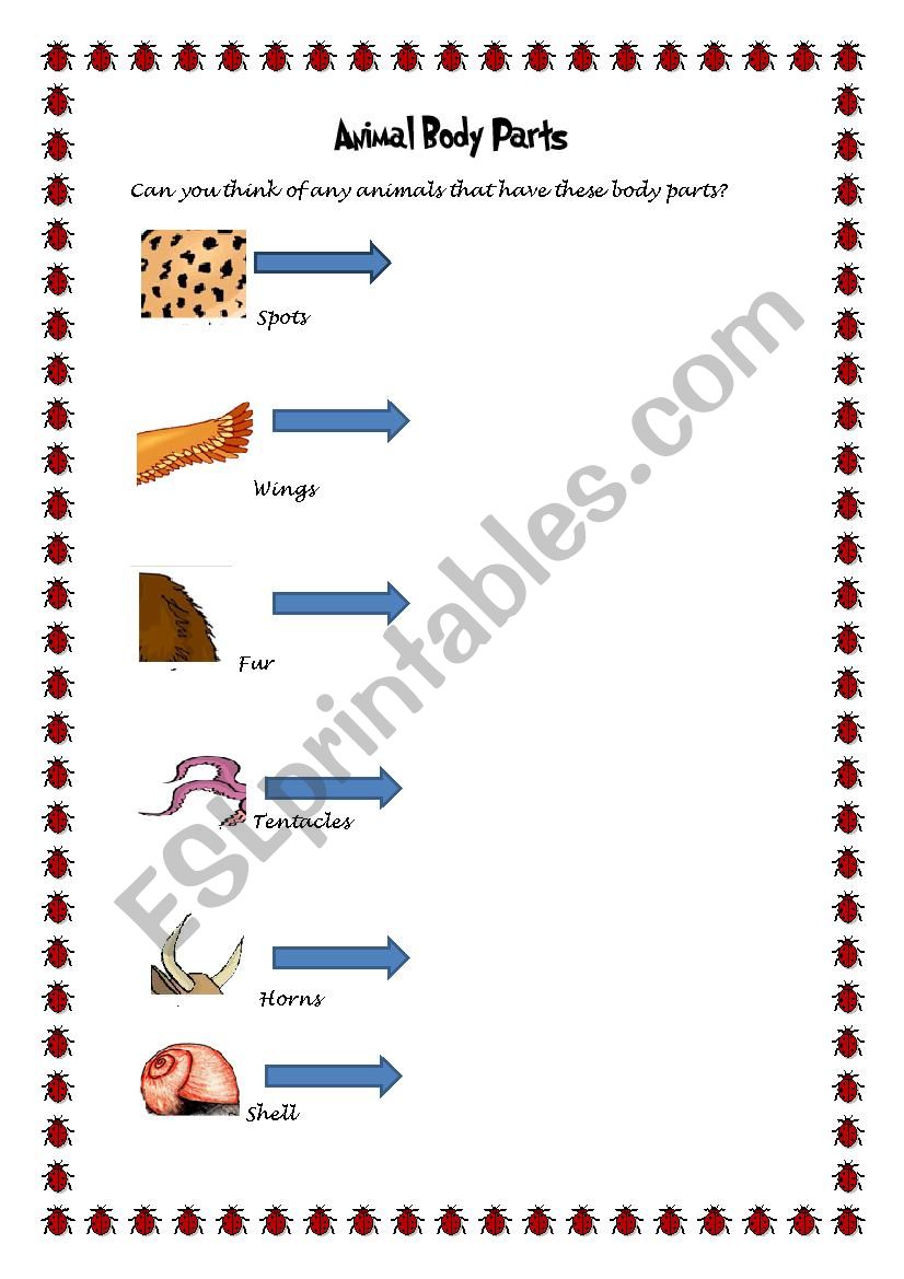 Animal Body parts worksheet