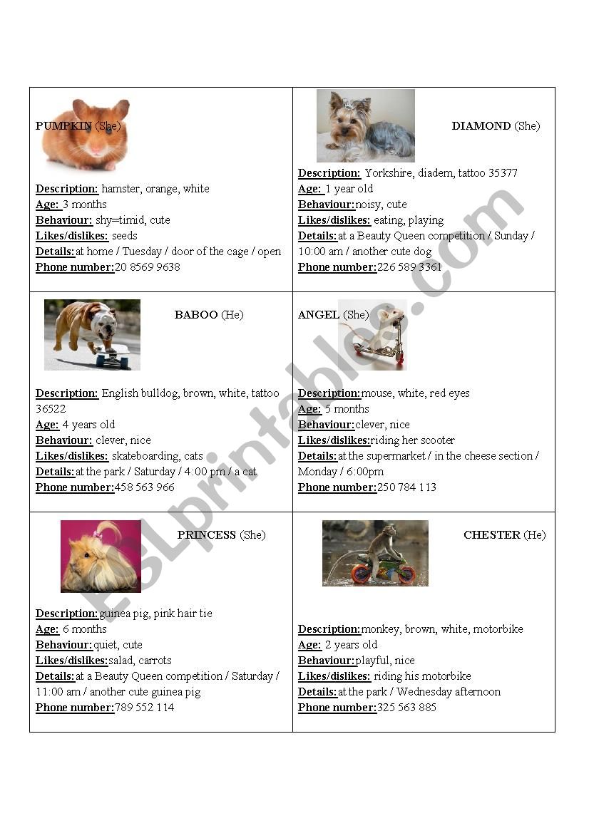 ** Lost Pet Cards ** pair work