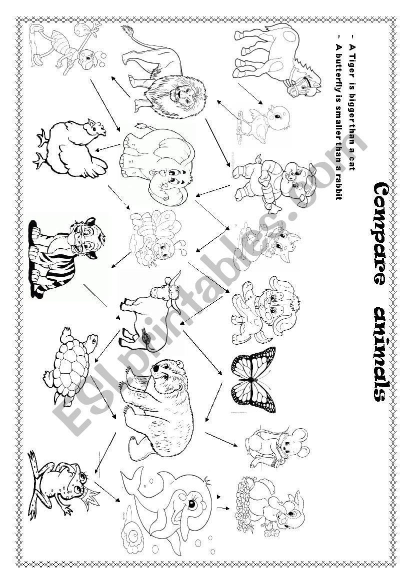 Compare the animals worksheet