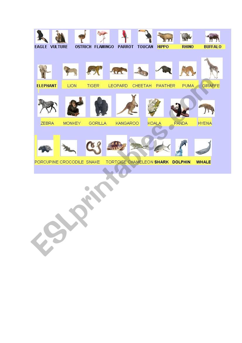 ANIMALS worksheet