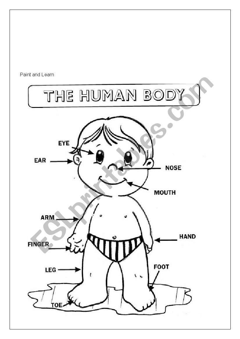 bory parts worksheet