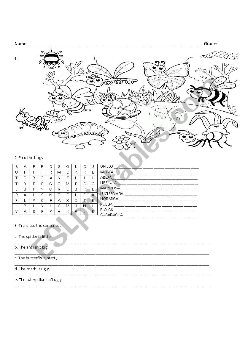 BUGS WORKSHEET FOR KIDS worksheet