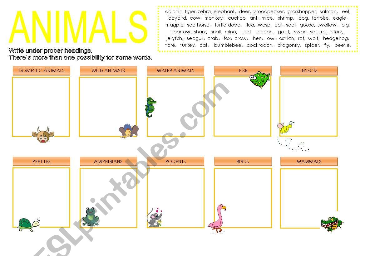 animal groups worksheet