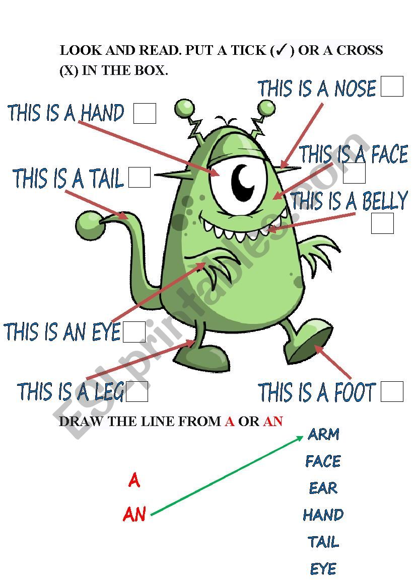 Body parts worksheet