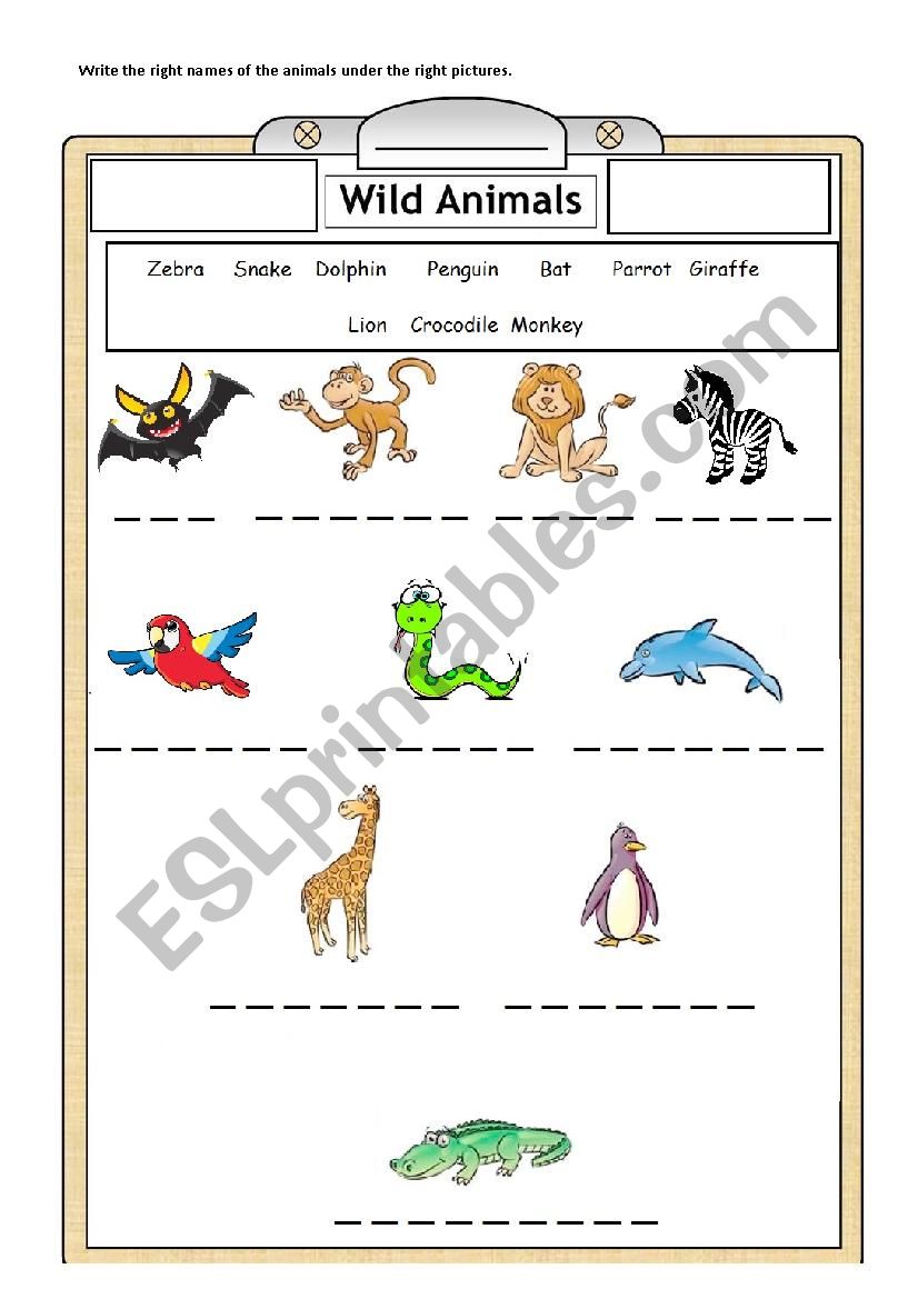 Jungle Animals worksheet