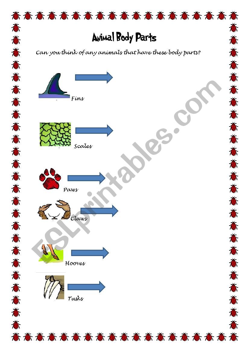 Animal Body parts worksheet