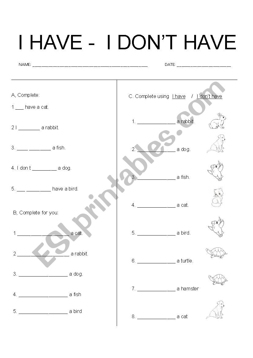 I have / I dont have worksheet