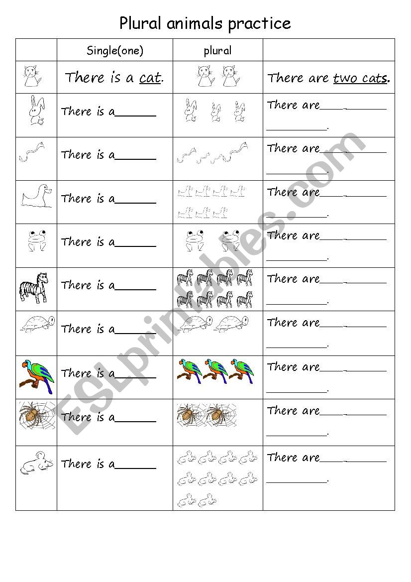 animal plural practise worksheet