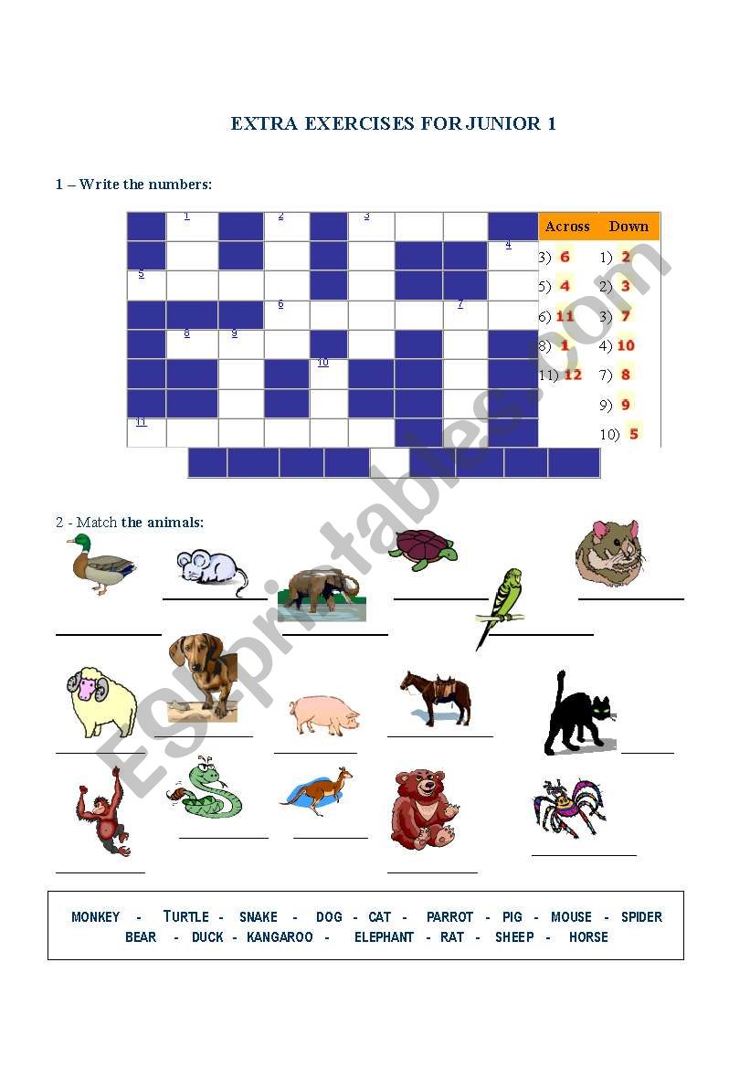 Animals and Numbers worksheet