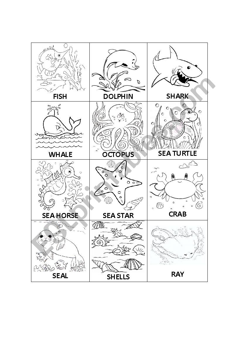 animals under the sea worksheet
