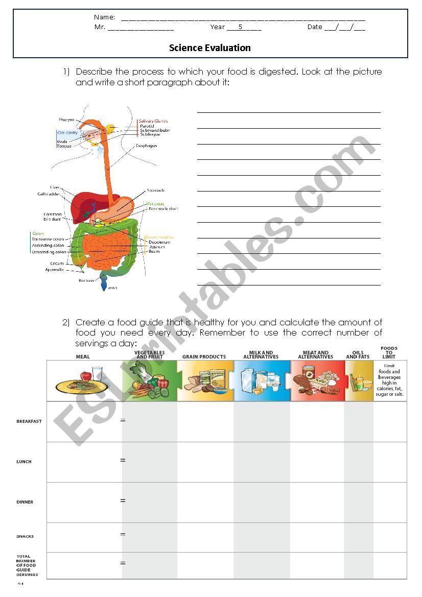 Science Evaluation worksheet