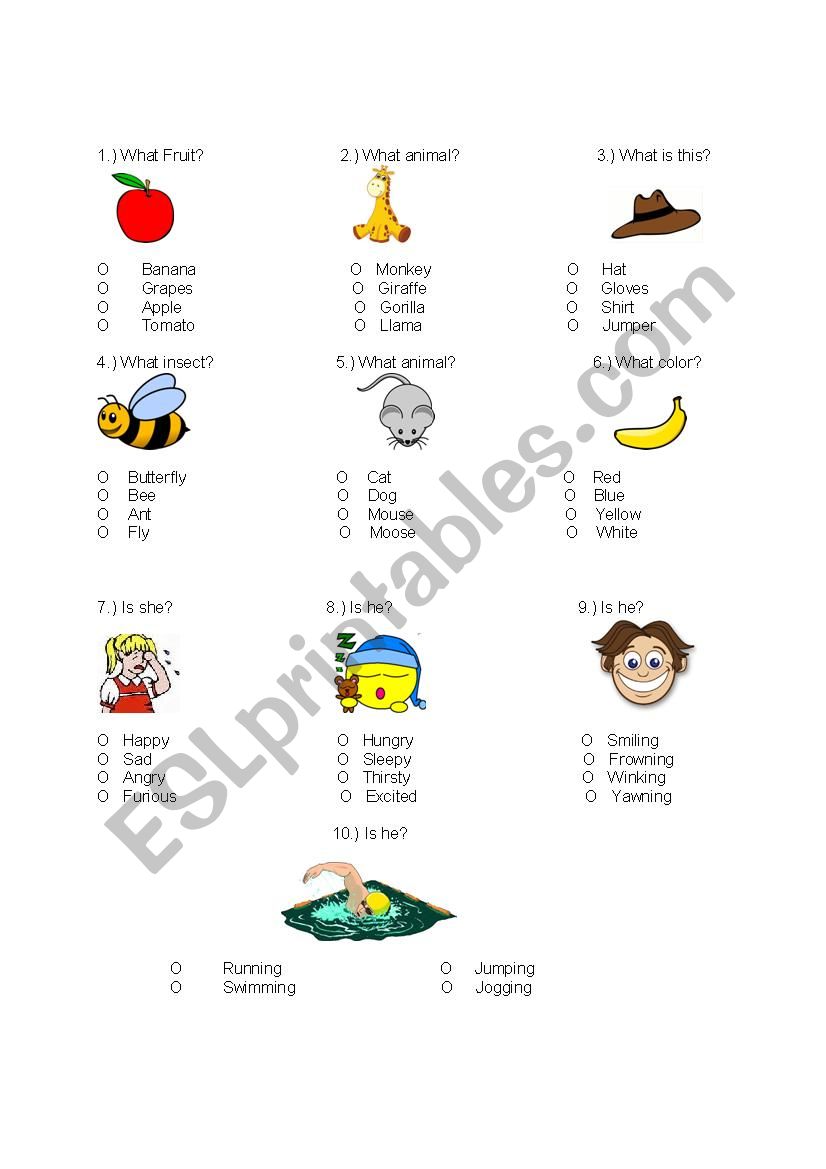 Multiple Choice Test worksheet