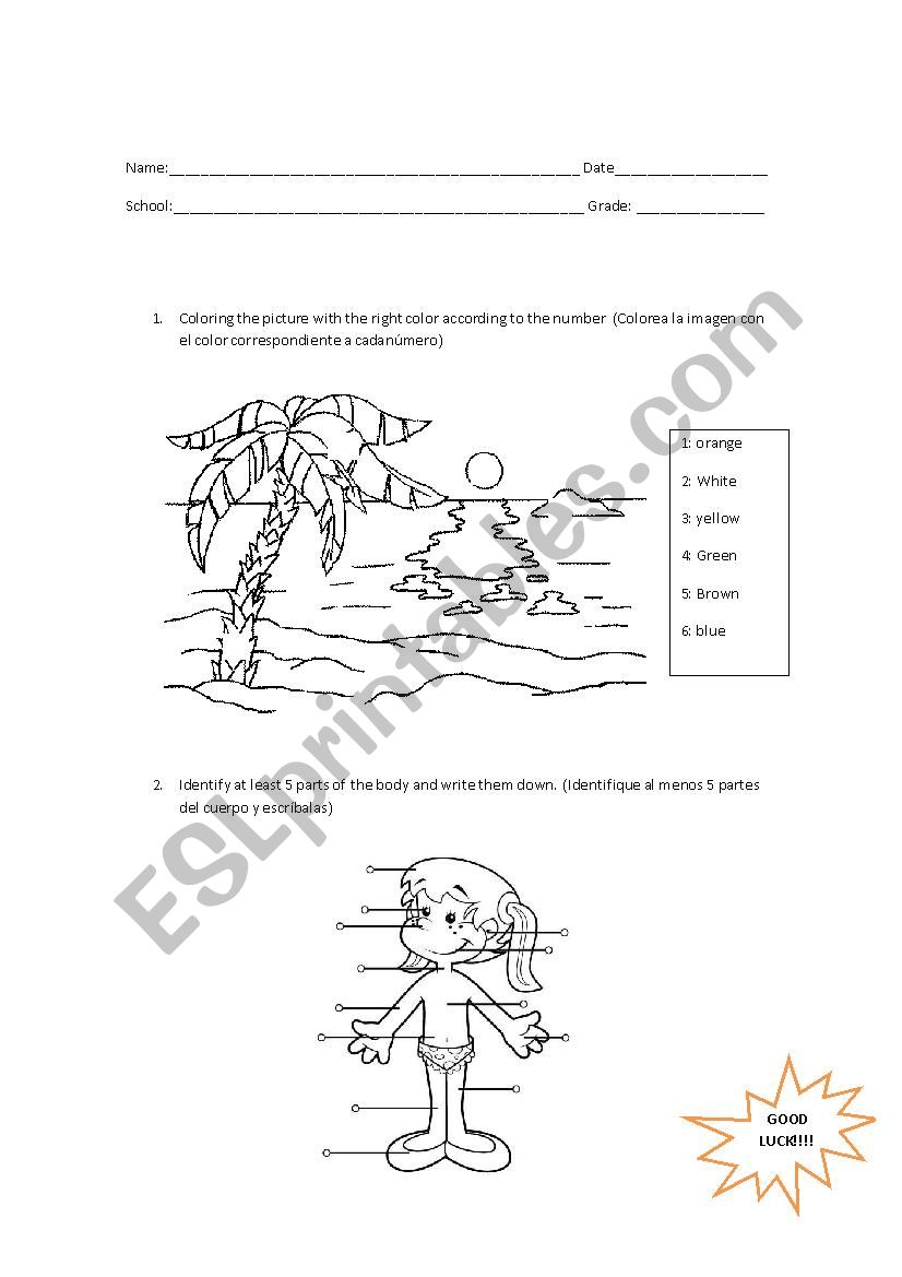 Colours and Body Parts worksheet