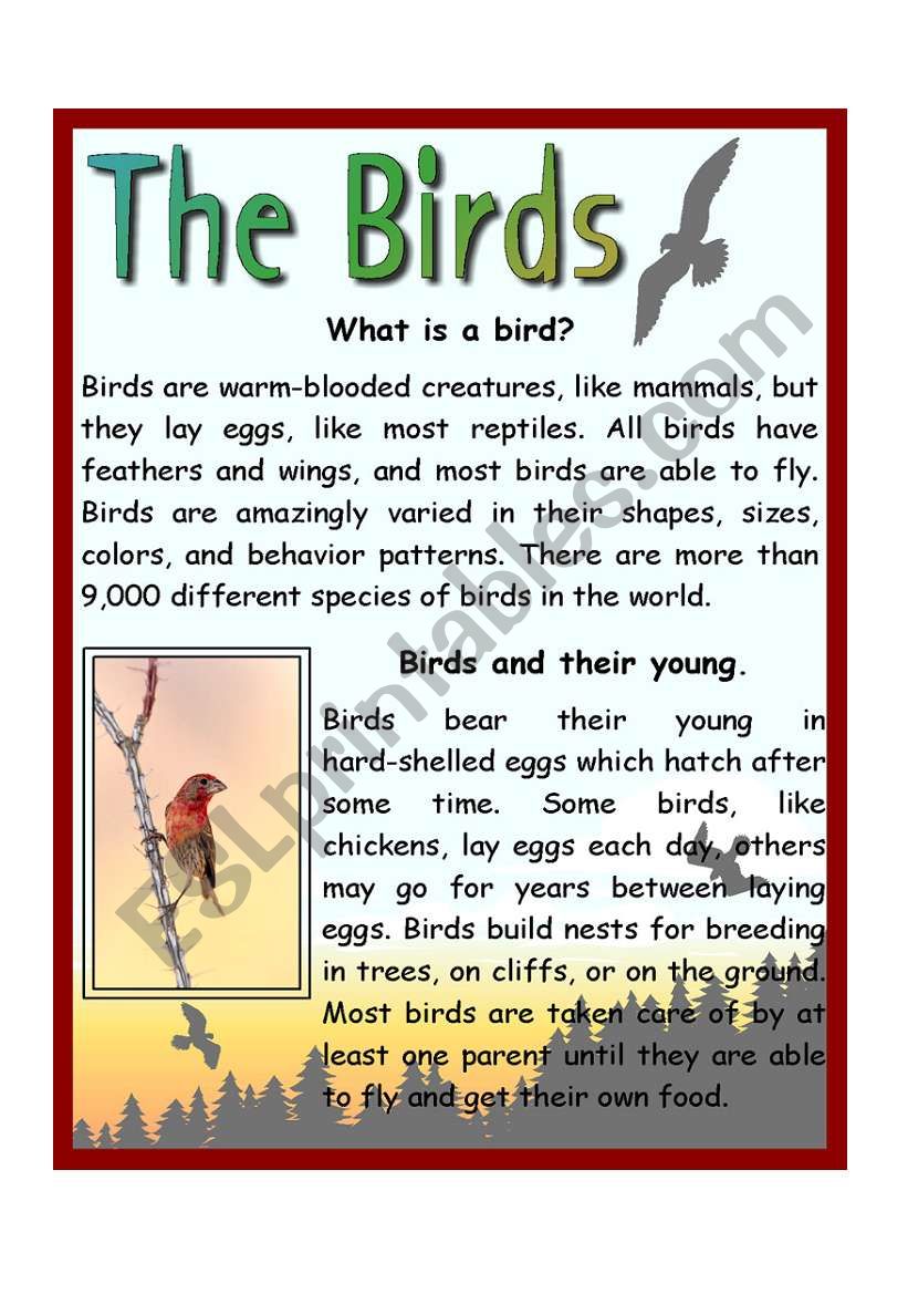 The Birds worksheet