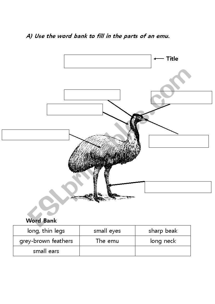 Animal description (emu) worksheet