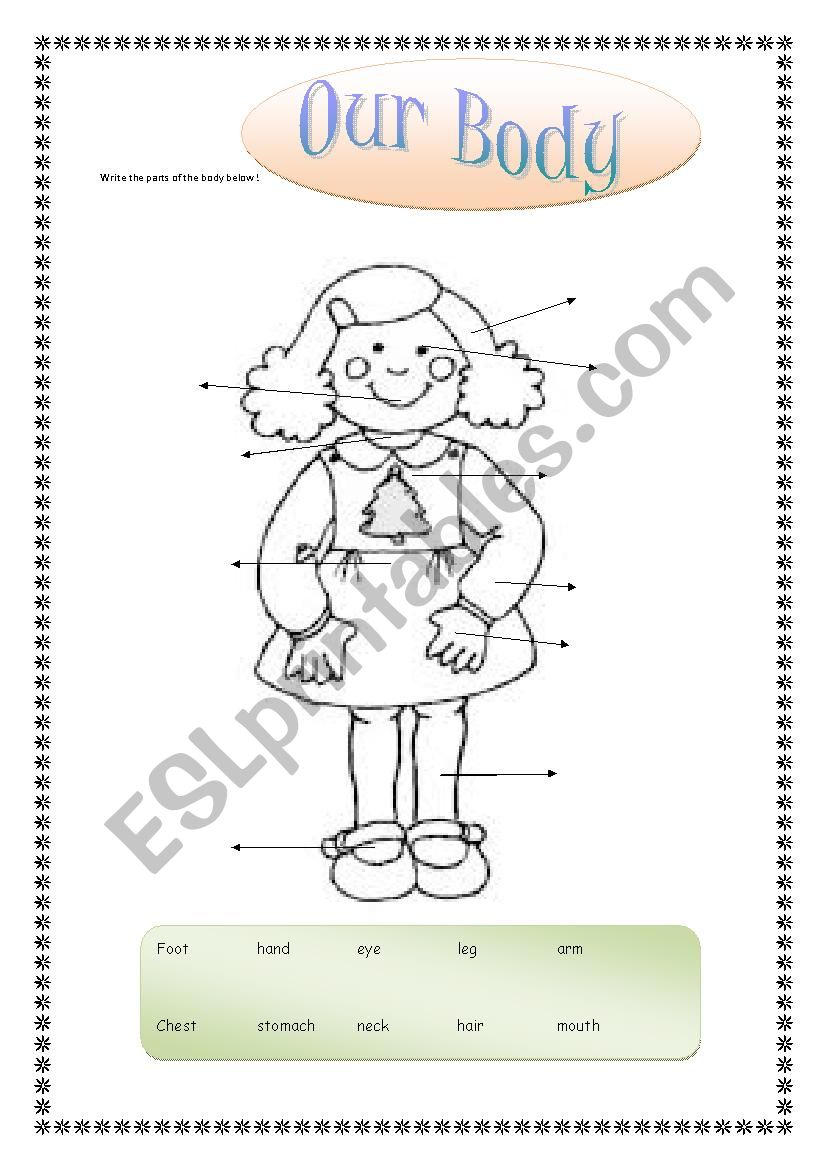 My body worksheet