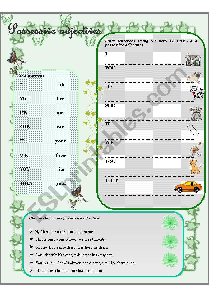 Possessive adjectives worksheet