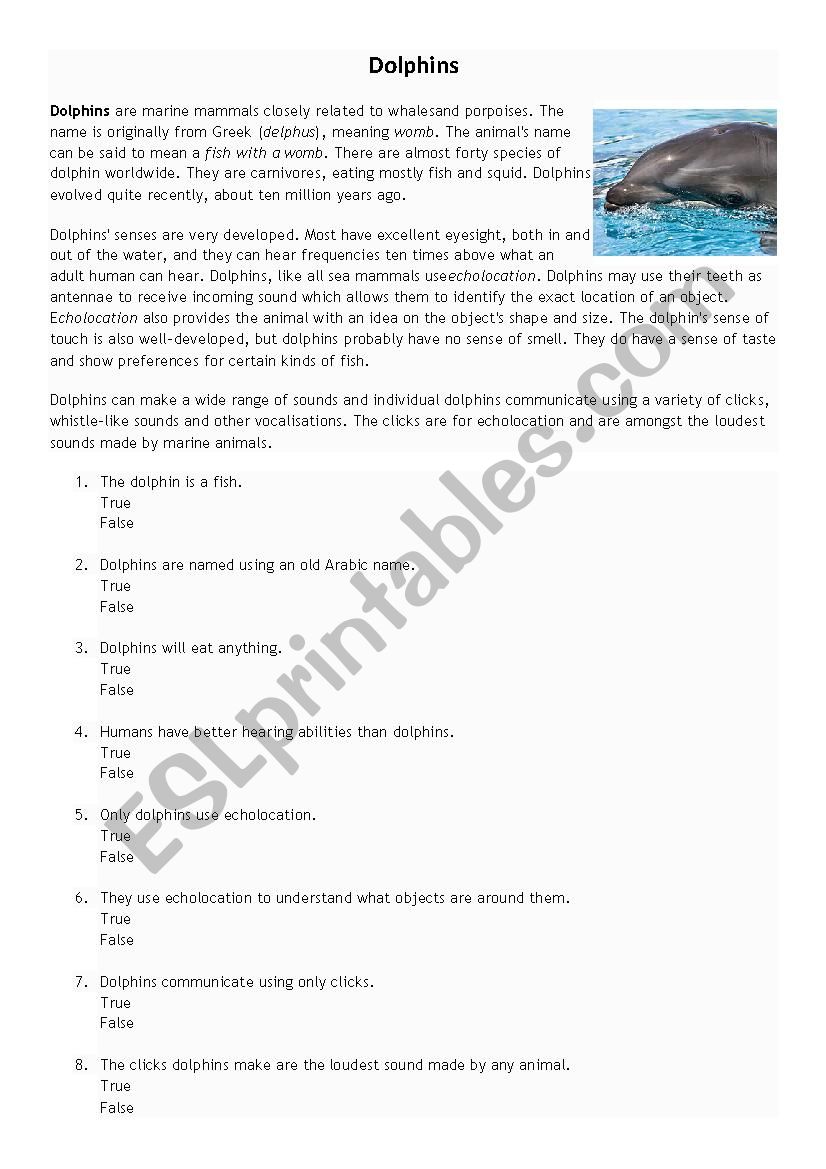 Dolphins worksheet