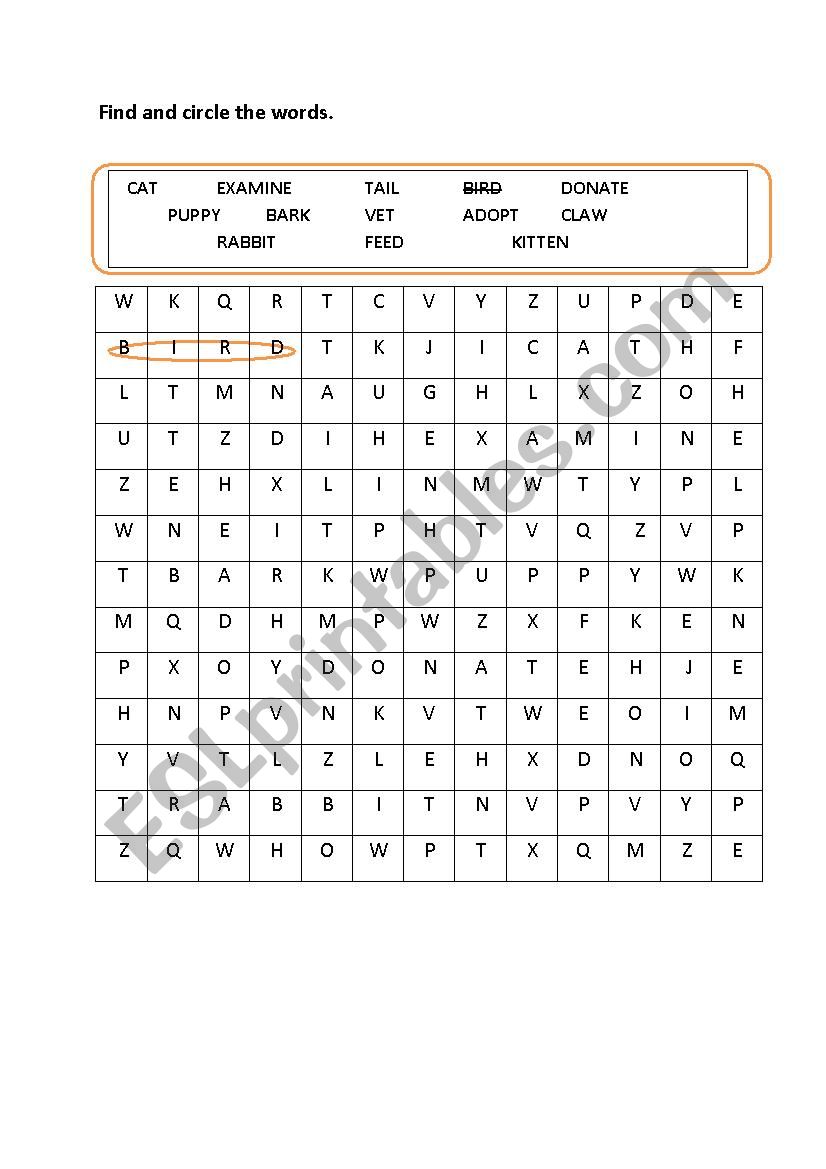 animal shelter vocabs worksheet