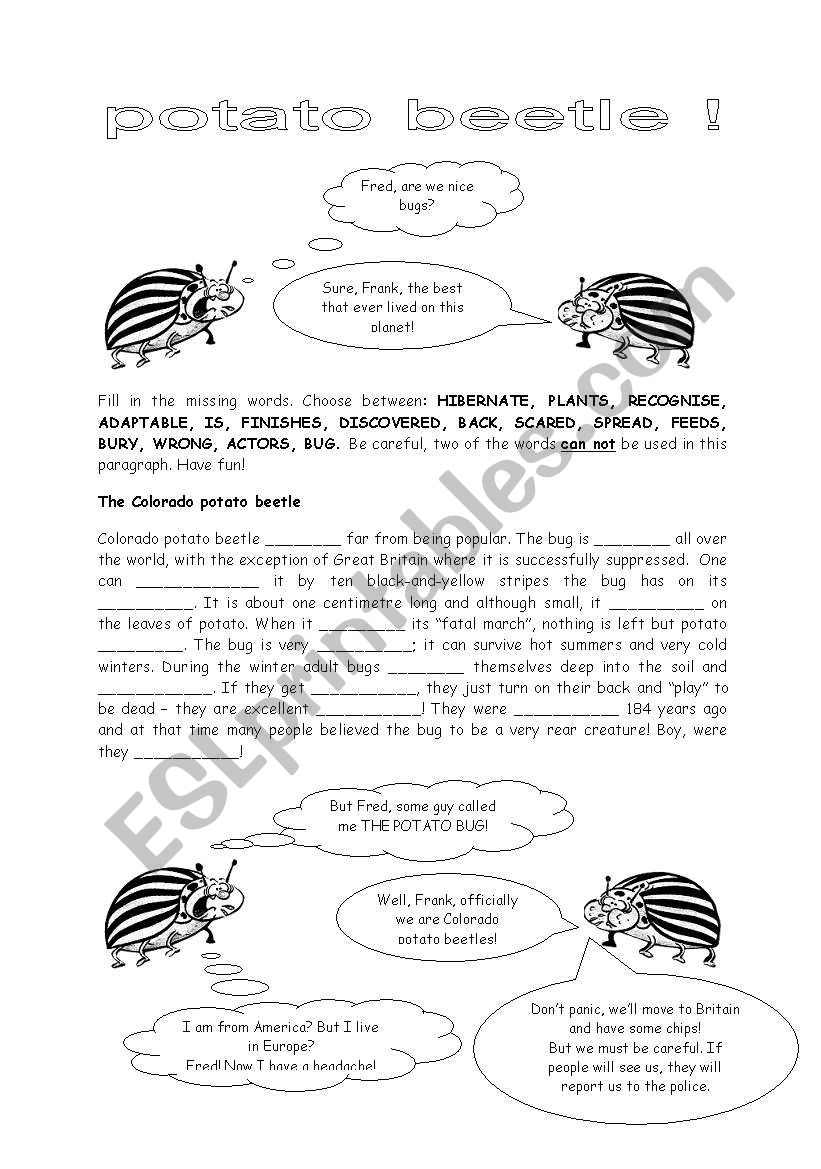 COLORADO POTATO BUG worksheet