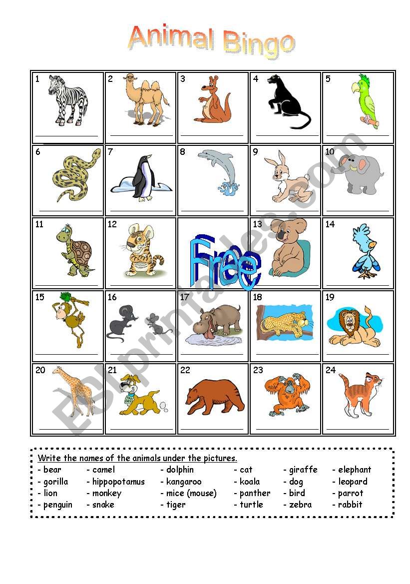 Animals bingo worksheet