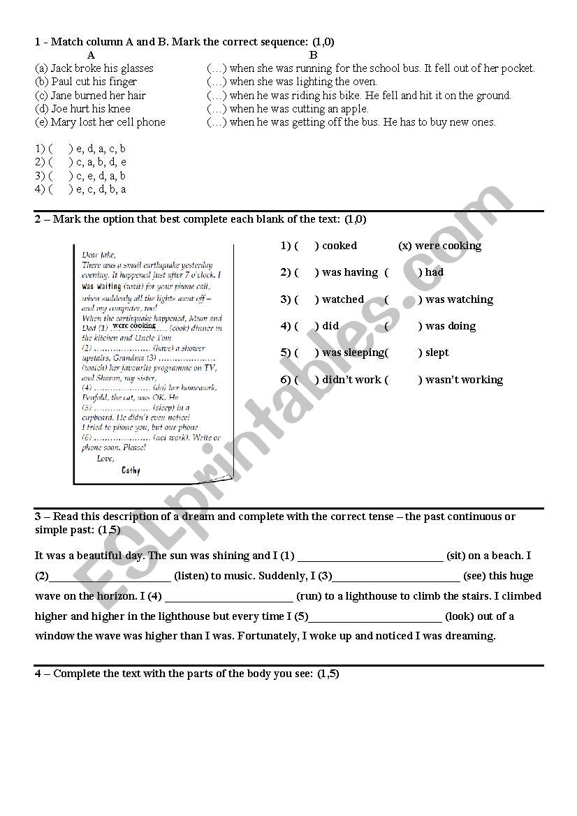 Past Continuous worksheet