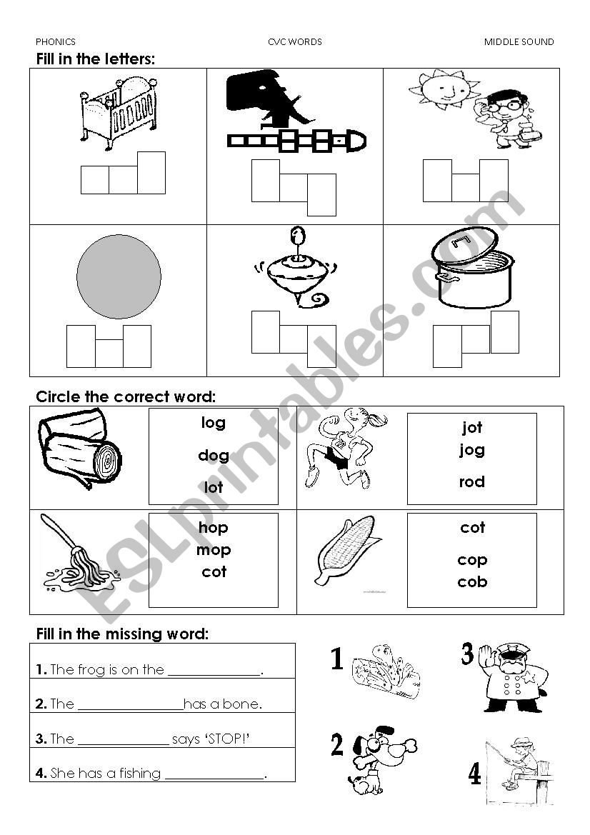 Phonics Worksheet (A and O middle sound)