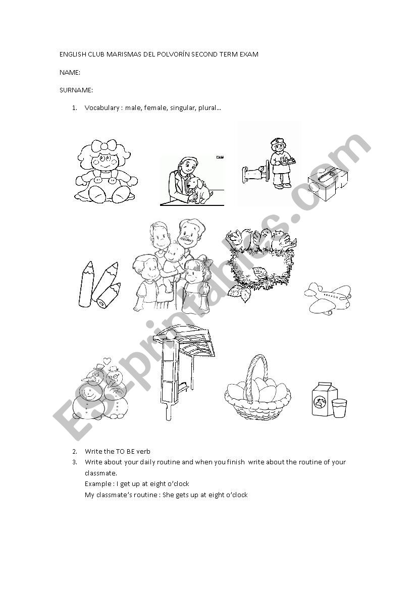 STARTERS EXAM worksheet