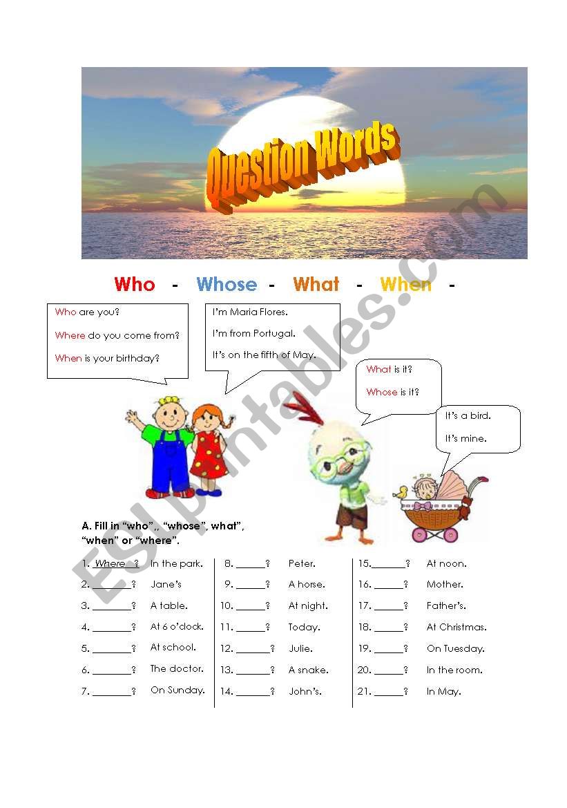 Question words worksheet