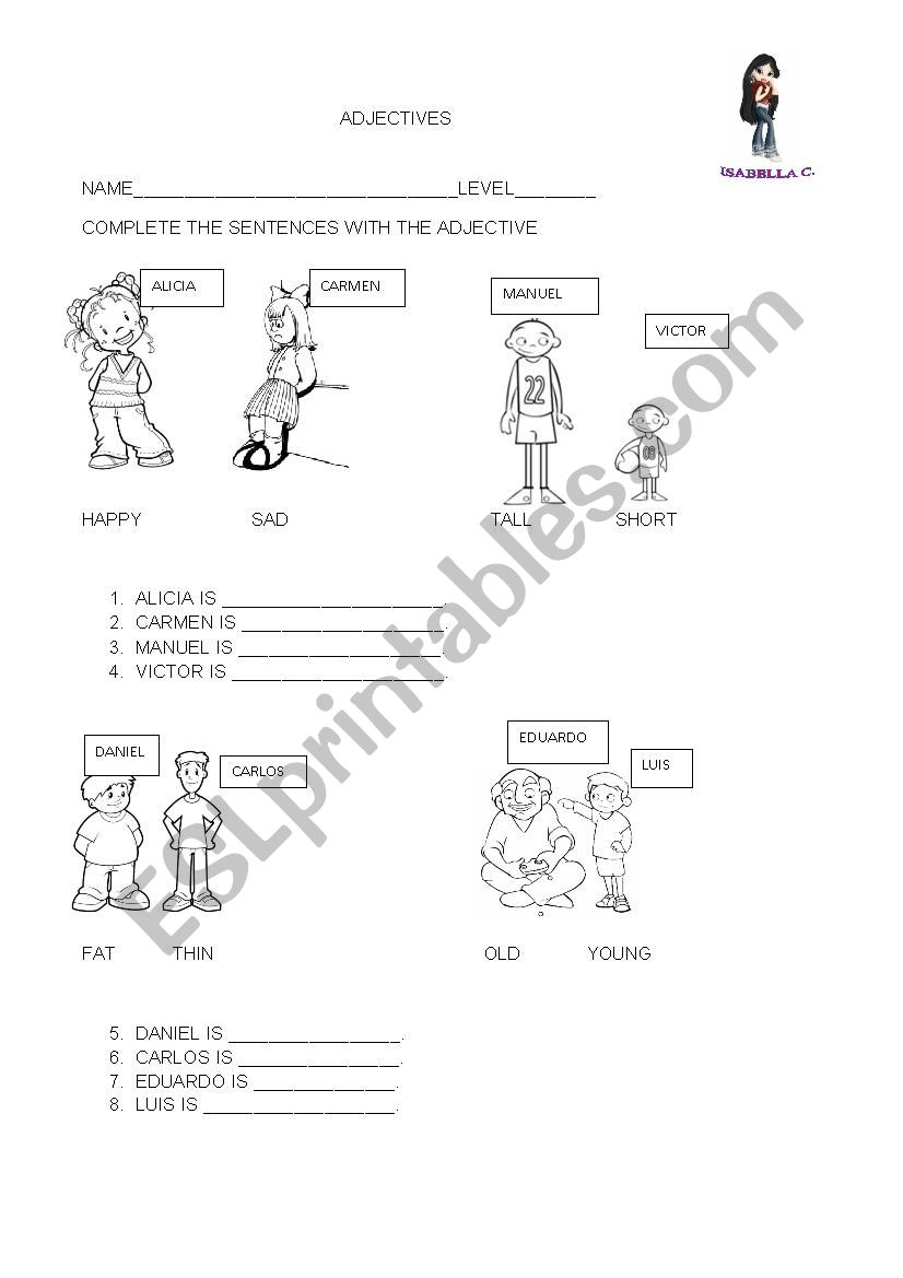 the adjectives worksheet