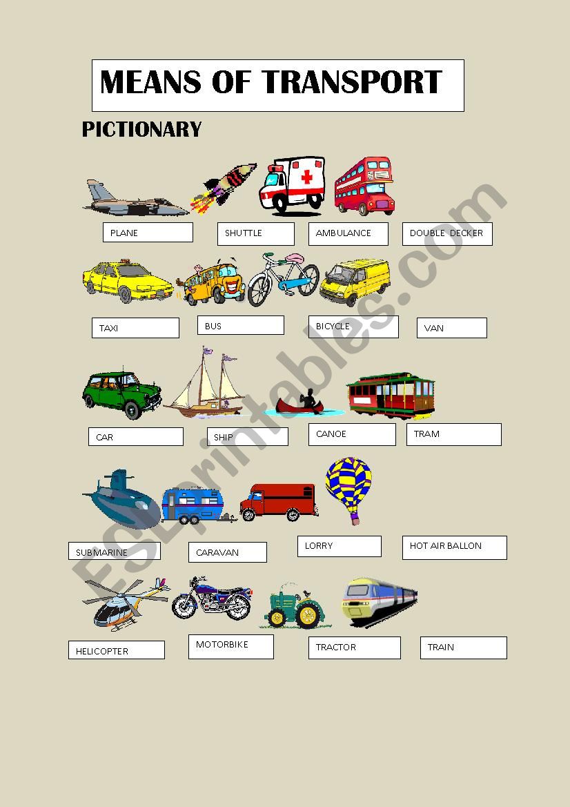 MEANS OF TRANSPORT PICTIONARY worksheet