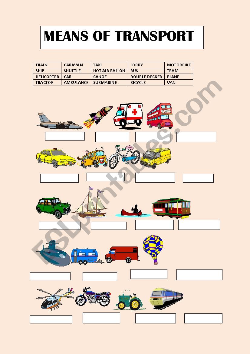 MEANS OF TRANSPORT GAP-FILL worksheet