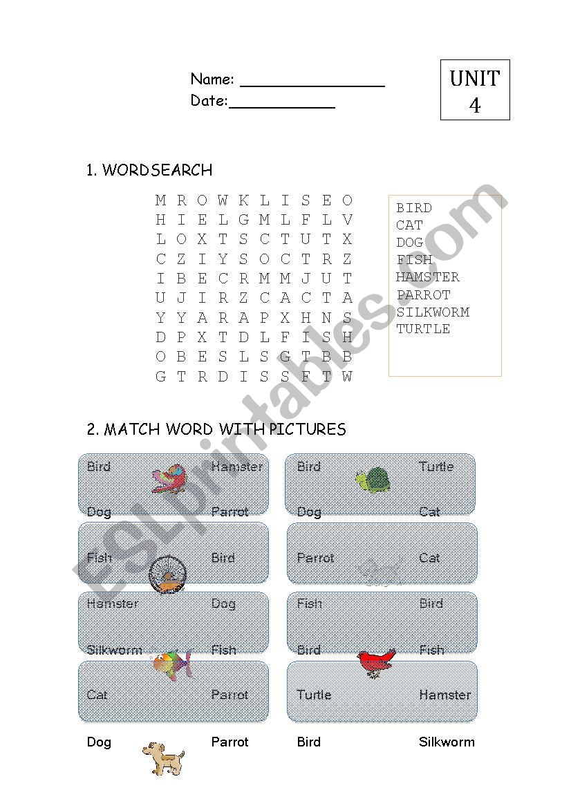 wordsearch & match word with picture -PETS- slow learners